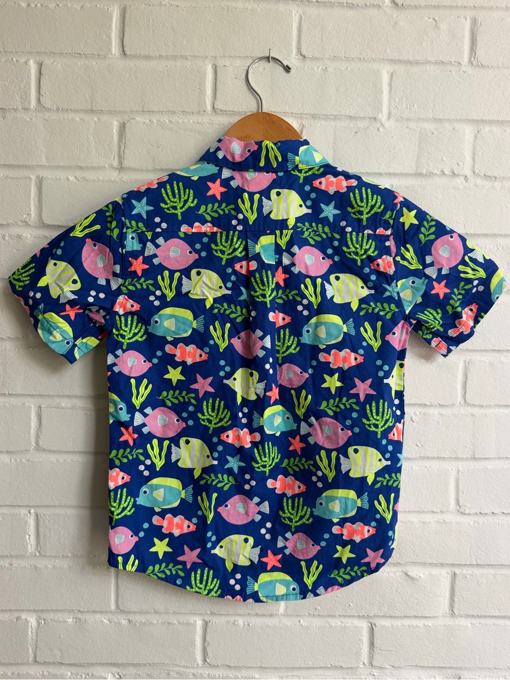 Gymboree button down - Picture 3 of 5